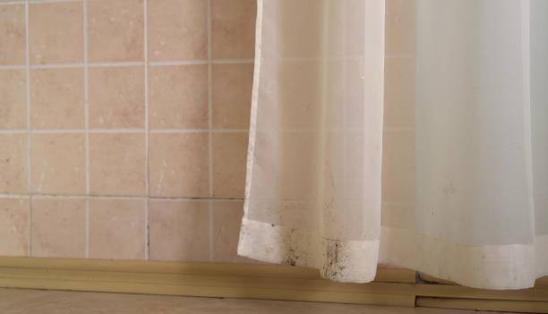 Best Mold Prevention Services  in Emerald Lake Hills, CA