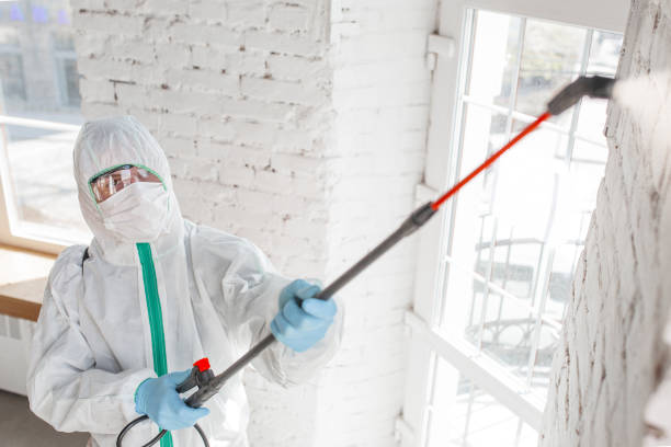 Best Dehumidification Services  in Emerald Lake Hills, CA