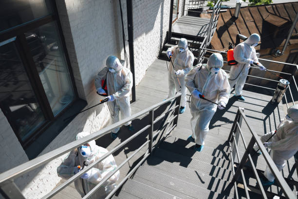 Best Mold Remediation for Healthcare Facilities  in Emerald Lake Hills, CA