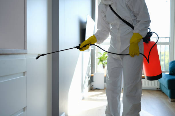 Best Post-Construction Mold Inspection  in Emerald Lake Hills, CA